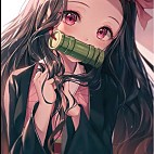 NaNu2613