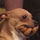 degachaself